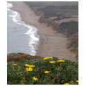 Point Reyes National Seashore t-shirts