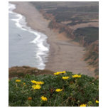 Point Reyes National Seashore t-shirts