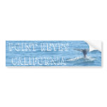 Point Reyes Whale Tail Bumper Sticker bumper stickers