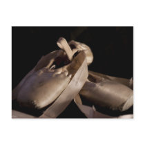 Pointe (Ballet) Shoes Postcard
