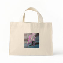 Pointe Shoes Dance Canvas Bag