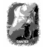 Pointe Shoes Dancer Graphic II t-shirts
