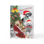 Pointer and American Eskimo Christmas Cards