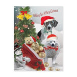 Pointer and American Eskimo Christmas Cards postcards
