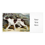 Pointer Dog Water colour photo cards