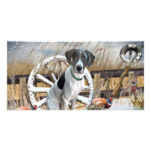 Pointer No Hunting Photo Card