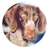 Pointer Sticker
