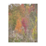 "Pointillist's Autumn" Postcard