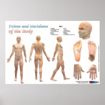 Points and meridians of the body posters