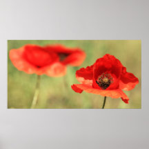 Poipín Plakatdruck