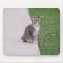 Poised Cat Mouse Pads