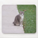 Poised Cat mousepads
