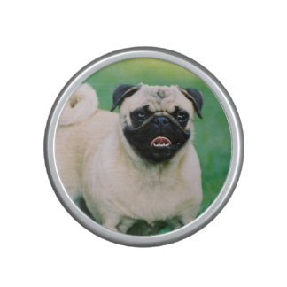pug bluetooth speaker pug iphone mp3 pc laptop speakers zazzle co uk pug bluetooth speaker pug iphone mp3 pc laptop speakers zazzle co uk