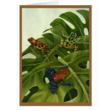 Poison Arrow Frog Card
