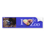 Poison Dart Frog bumper stickers