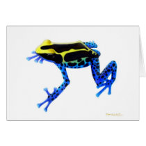 Poison Dart Frog Card