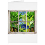 Poison Dart Frog Card