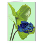 Poison Dart Frog Greeting Cards