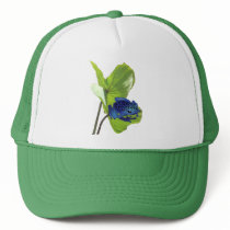 Poison Dart Frog Hats