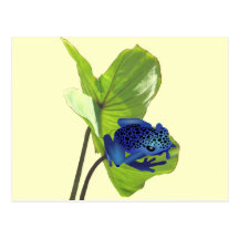 Poison Dart Frog Post Cards