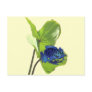Poison Dart Frog Post Cards