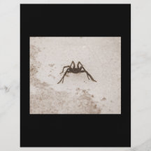 poison flyer design