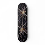 Poisonous menacing recluse spider skateboards