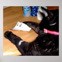 POKER CAT HAS POCKET ACES PHOTO by Teo Poster