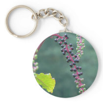 Pokeweed with Ripening Berries
