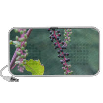 Pokeweed with Ripening Berries Ipod Speaker