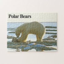 Polar Bear 10 Jigsaw Puzzle puzzles