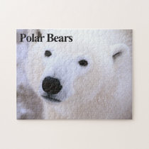 Polar Bear 11 Jigsaw Puzzle puzzles