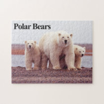Polar Bear 12 Jigsaw Puzzle puzzles