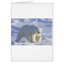 POLAR BEAR 1 GREETING CARDS