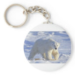 POLAR BEAR 1 KEY CHAINS