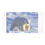 POLAR BEAR 1 CUSTOM PHOTO CARD