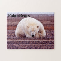 Polar Bear 7 Jigsaw Puzzle puzzles