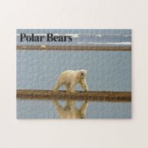 Polar Bear 9 Jigsaw Puzzle puzzles