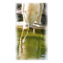 Polar Bear and Reflection Oil Painting Business Card Template