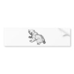 POLAR BEAR bumper stickers
