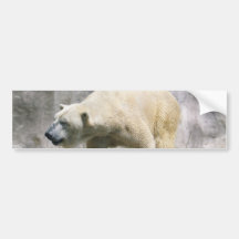 Polar Bear  Bumper Sticker