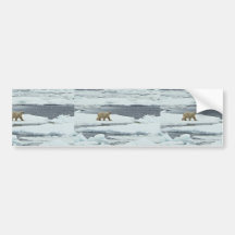Polar Bear Bumper Sticker