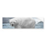 Polar Bear Bumper Stickers
