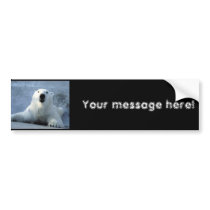 Polar Bear bumper stickers