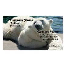 Polar Bear Business Card