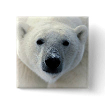 Polar Bear Pins