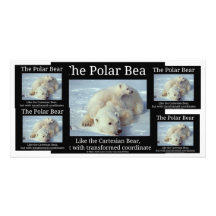 Polar Bear Cartesian Bear Photo Card