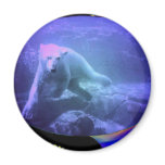 POLAR BEAR DREAMS