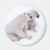 Polar Bear Duo Fridge Magnet