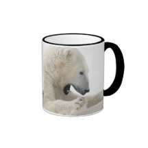 Polar bear engaging in a fight with another bear coffee mugs